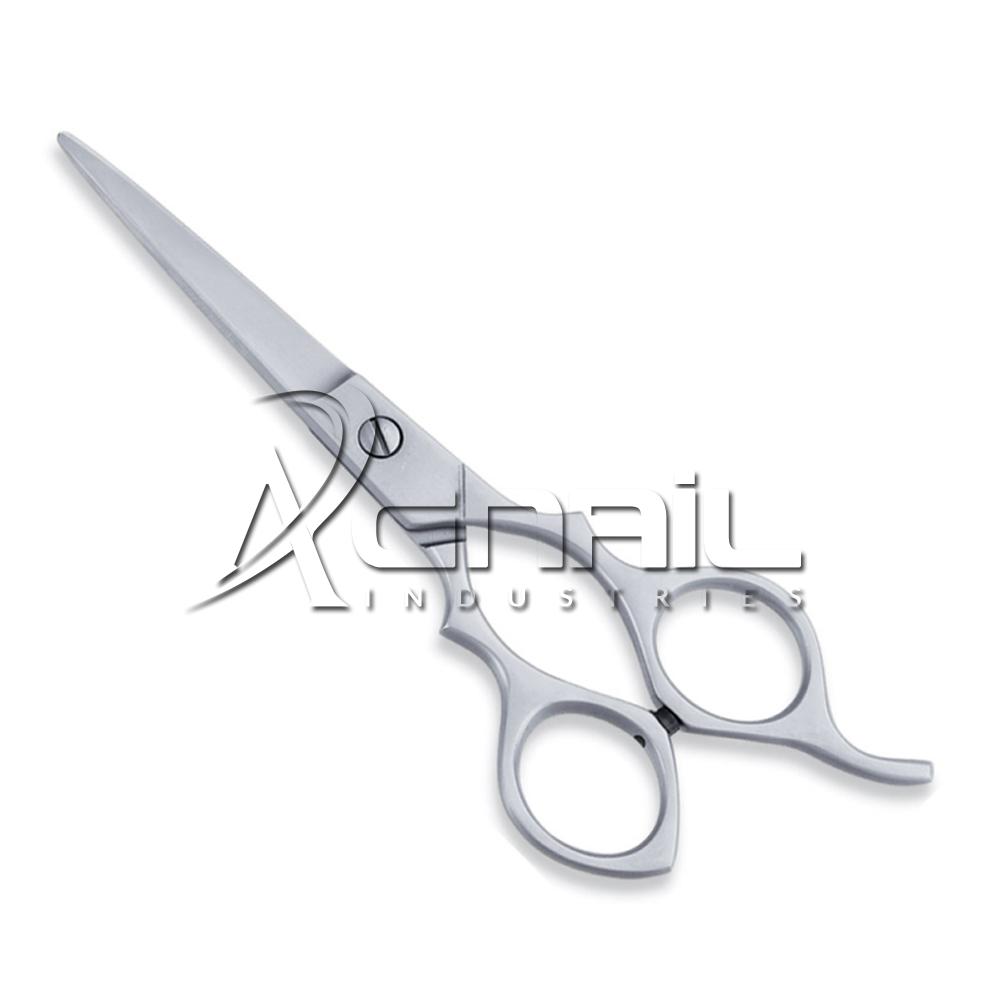 Economy Barber Scissor